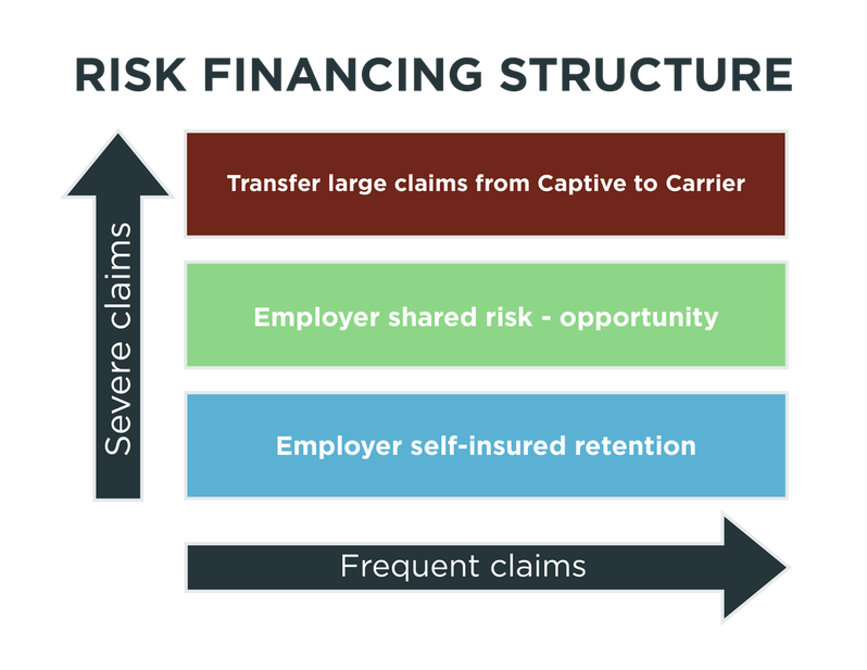 Risk finance structure for ClearCaptive.